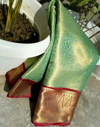 Bridal Saree
